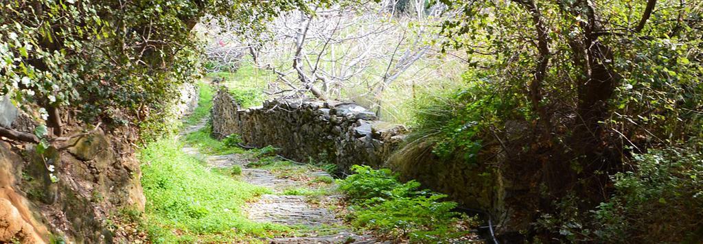 Andros Maisonettes * Agios Petros (Andros)
