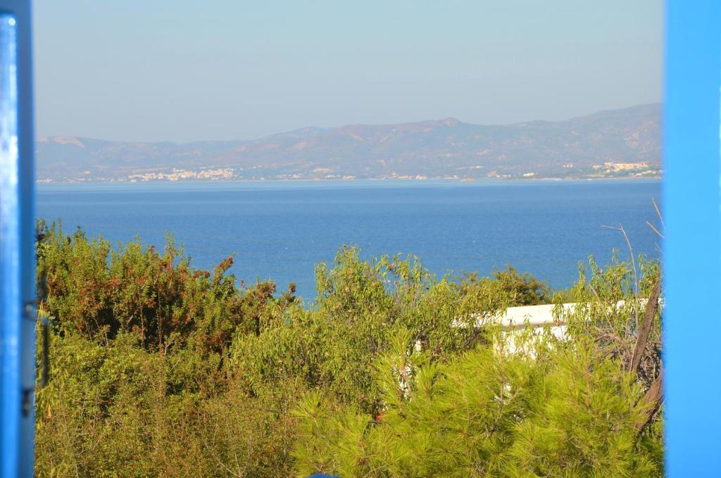 Bellina Holiday home *
