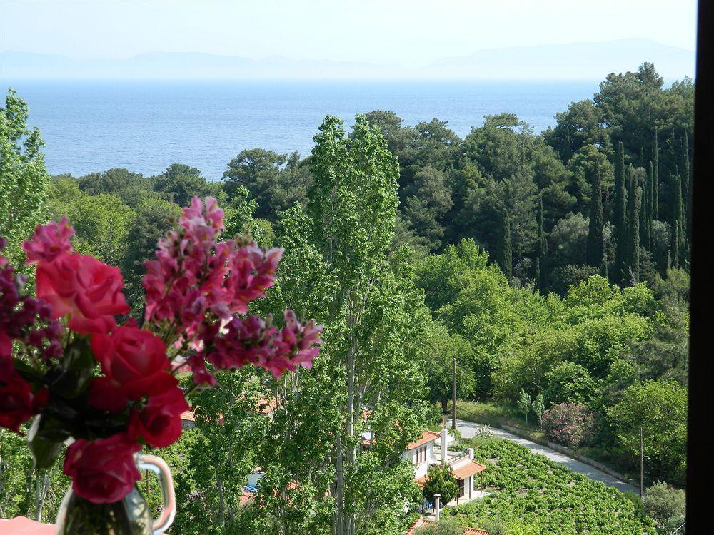 Daphne Hotel Agios Konstantinos (Samos)