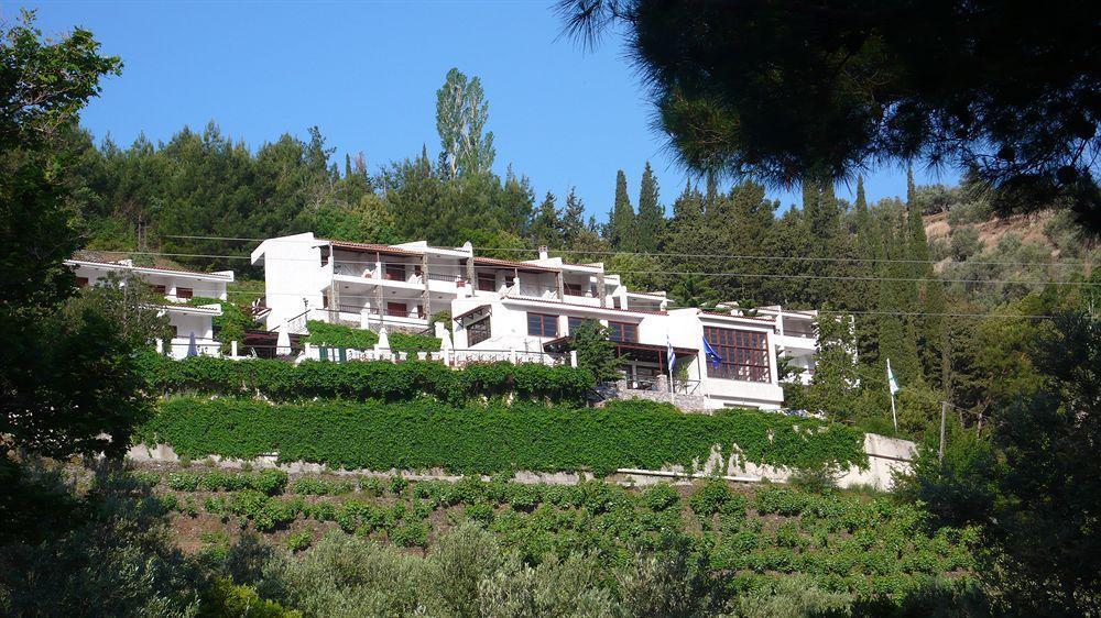 Hotel Daphne 3*