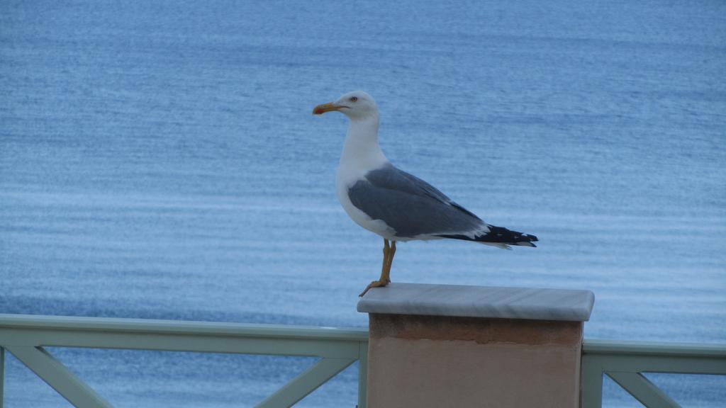 Apollonos Seafront Apartment *