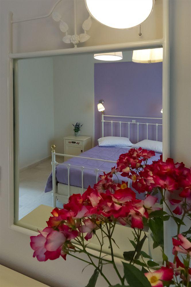 Vassilis Guest house Anthousa (Epirus)