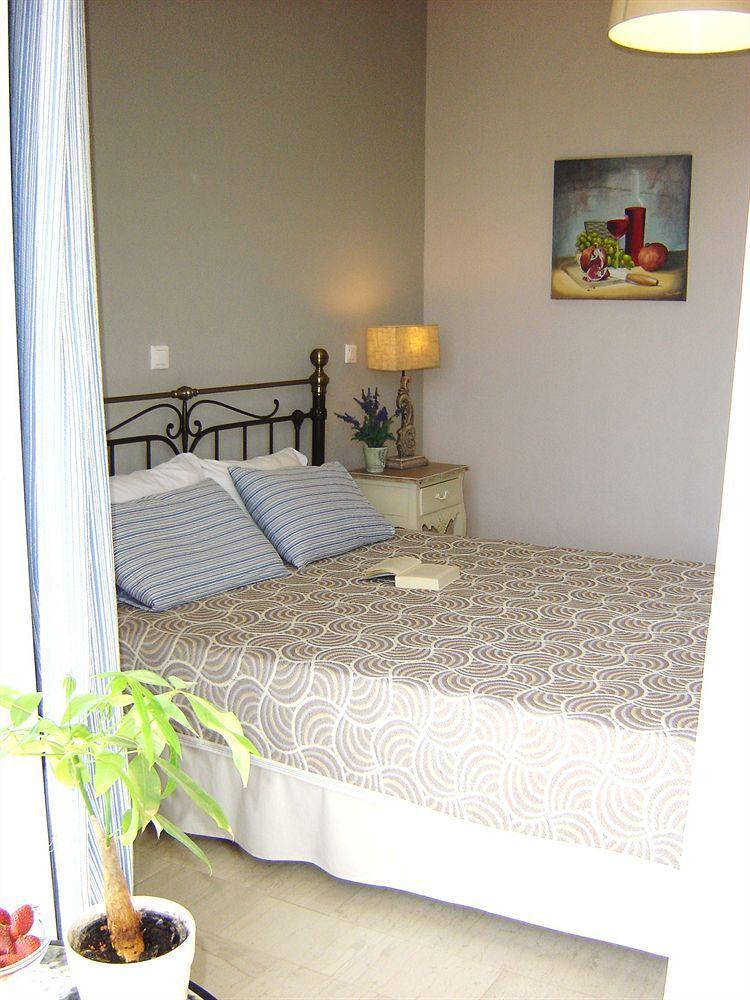 Guest house Vassilis Anthousa (Epirus)