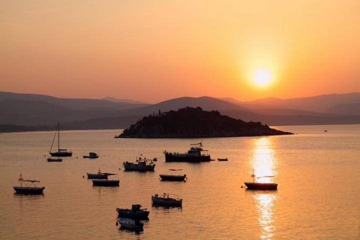 Barbaressa 3* Tolo