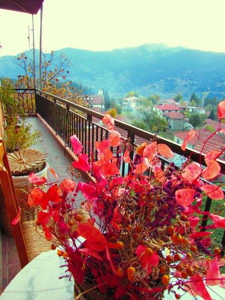 Mprizis Elati (Trikala)