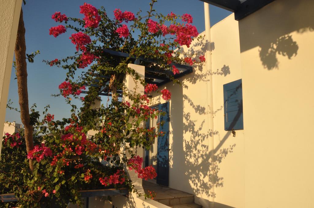 Holiday home Anna Parikia (Paros)