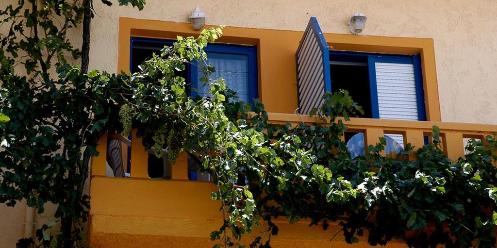 Scorpios Family Guest house