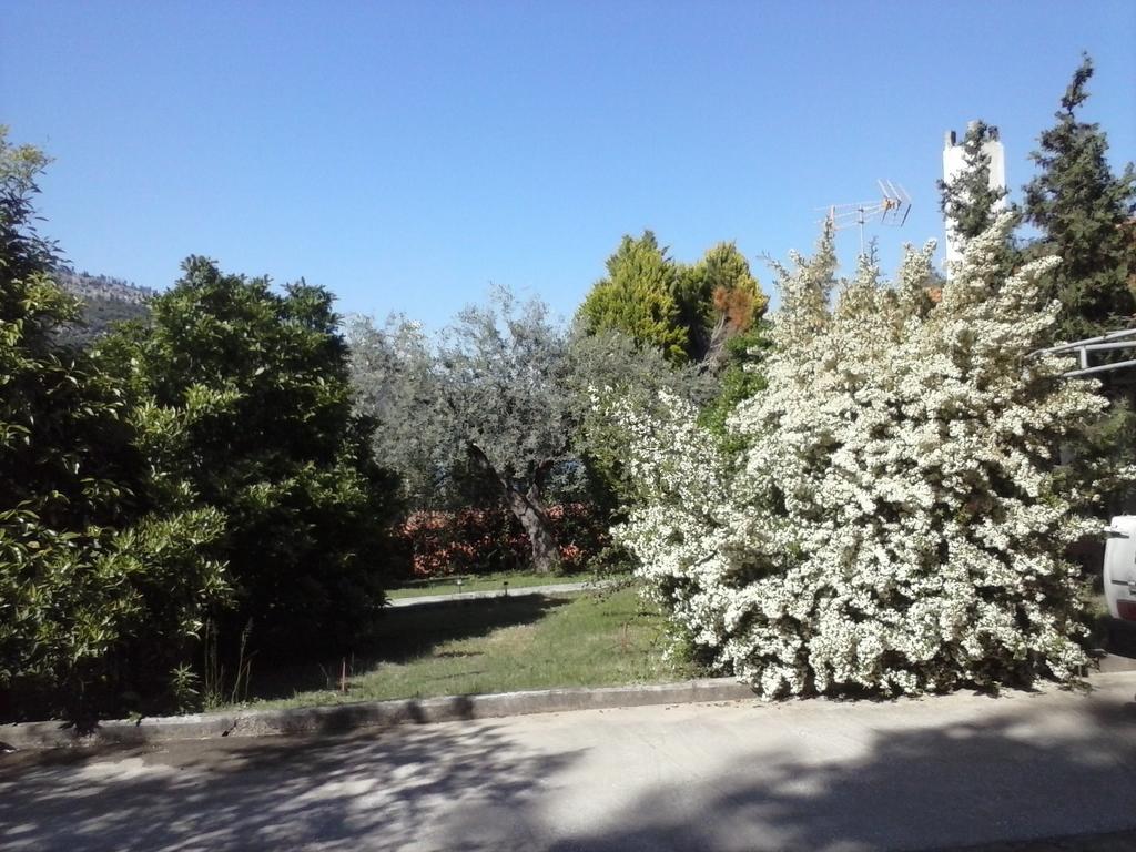 Vista Del Mare Luxury Holiday home Koinira