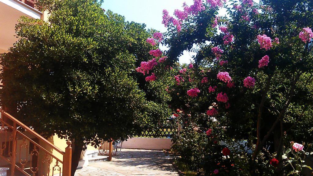 Apartment To Kyma *