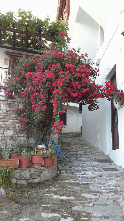 Aggeliki Apartment