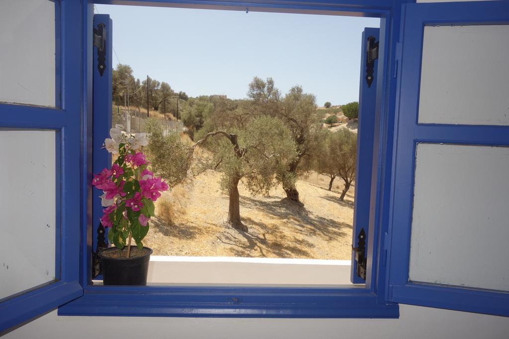 Panoramakamil