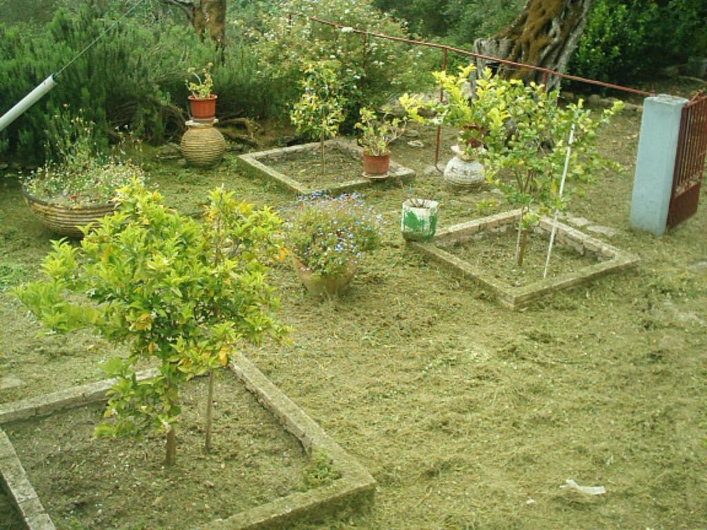 Ermis Holiday home
