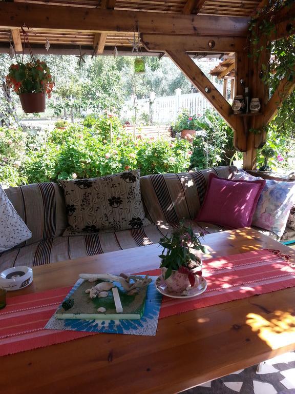 Despina Guest house *