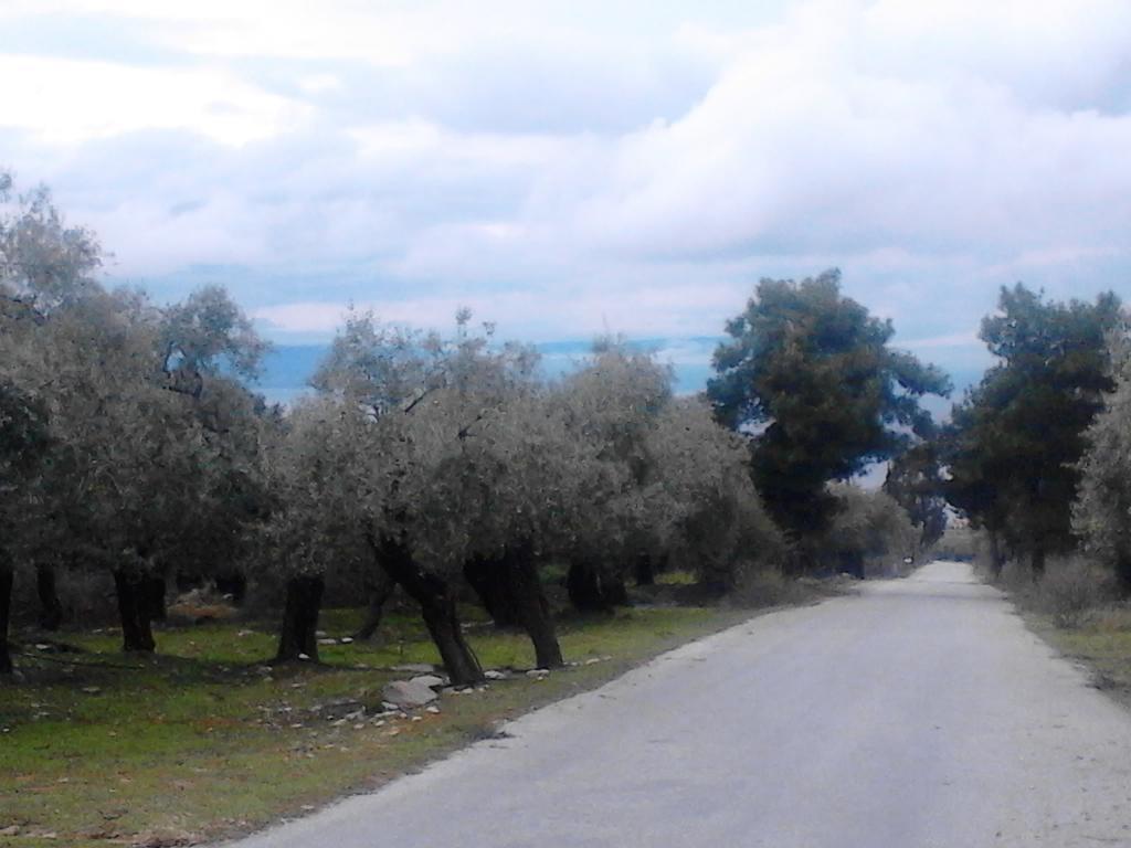Guest house Despina