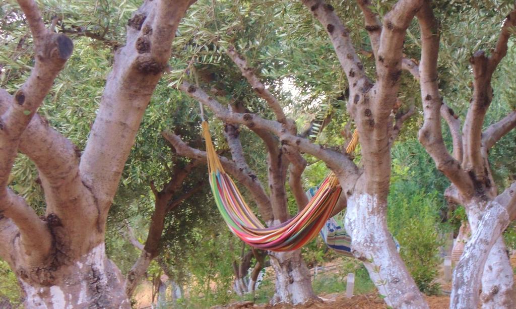 Kalliroe -creta Agia Galini (Crete)
