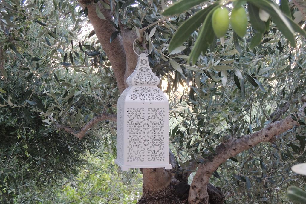 Apartment Kalliroe -creta