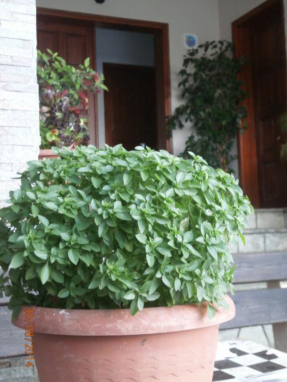 Apartment Ioannis Avrades *