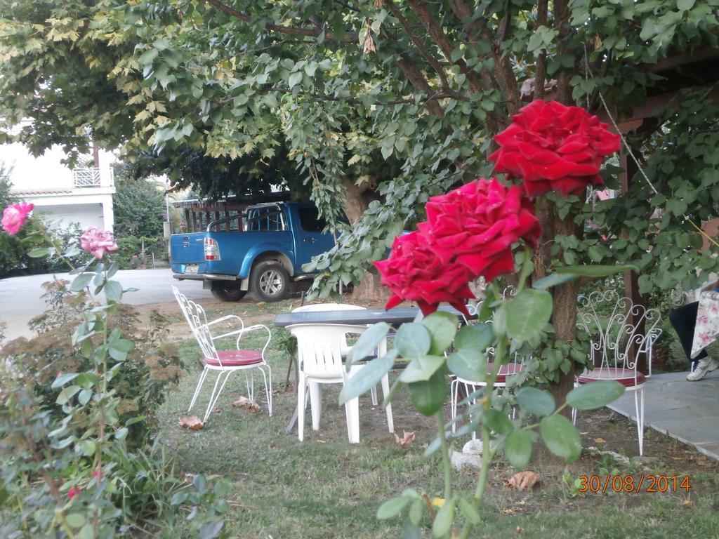 Ioannis Avrades Apartment *