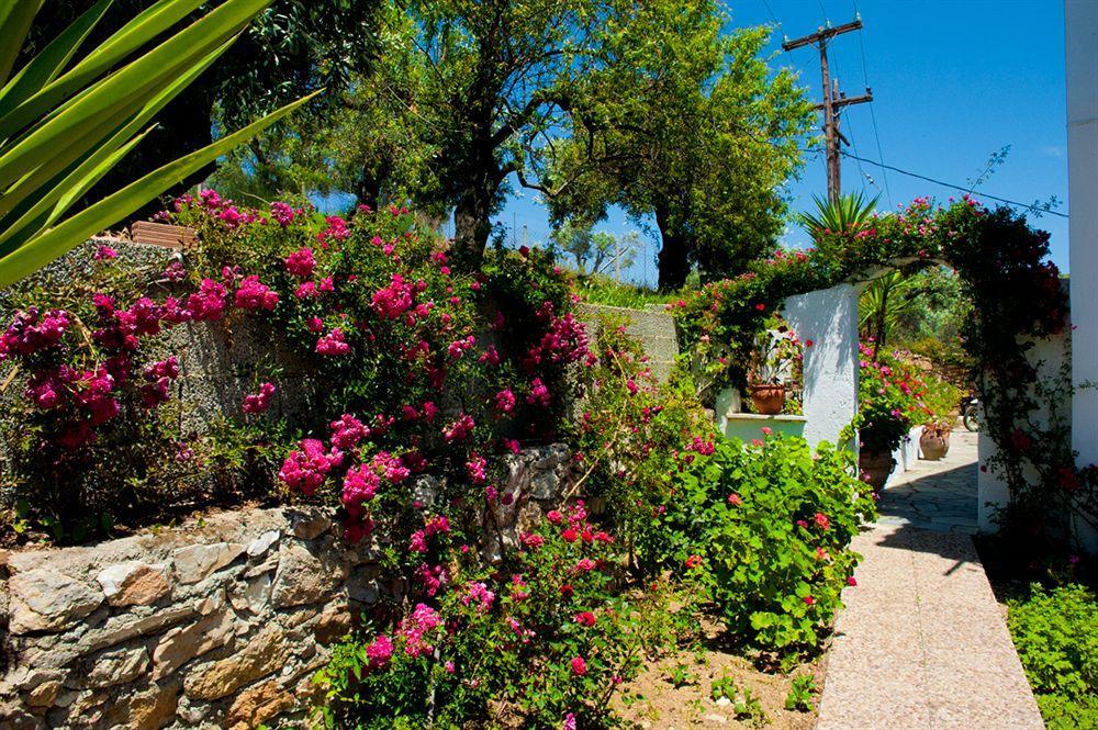 Camelia Skiathos Town