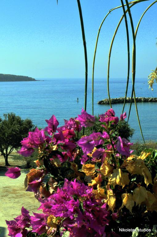 Nikoleta's *
