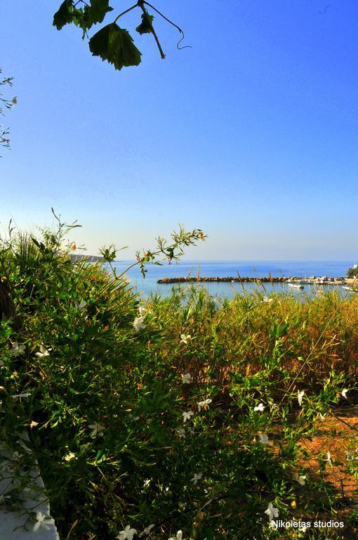 Nikoleta's