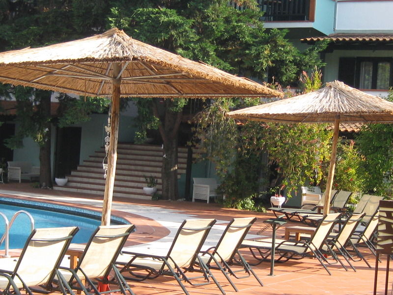 Eden 3* Afytos