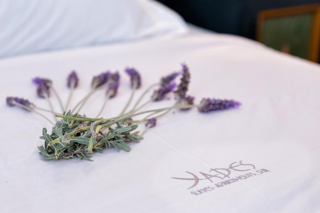 Yades - Sea View - Adults Only 2* Naousa (Paros)