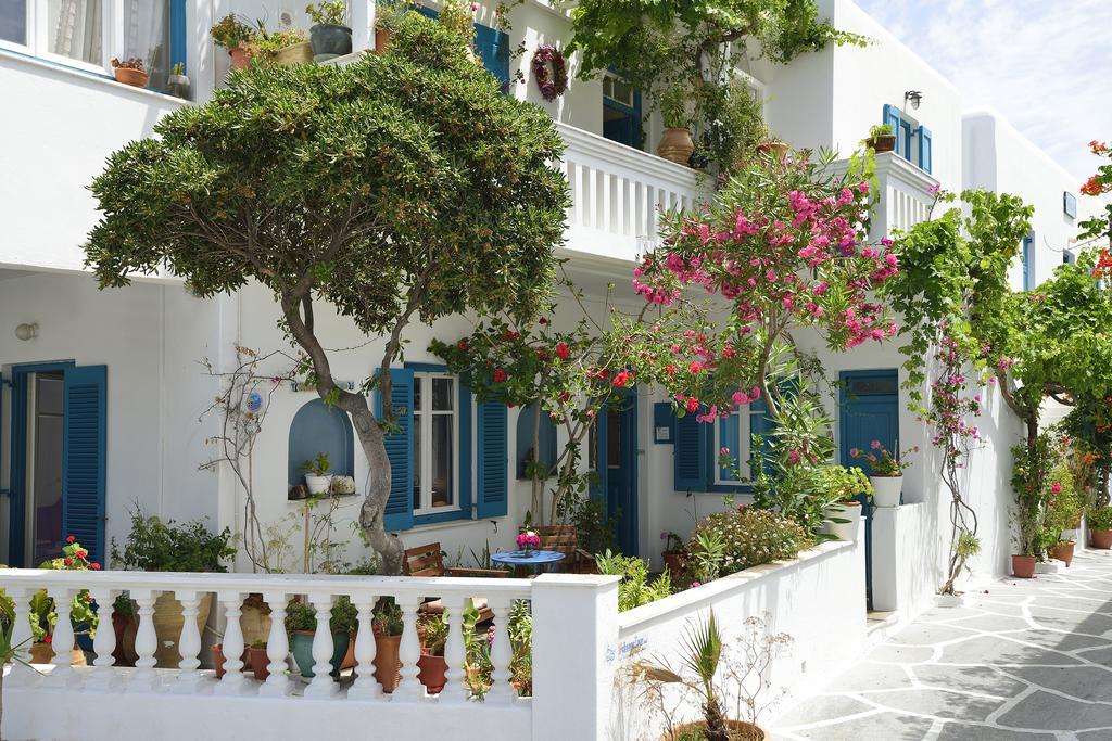 Hotel Nazos 1 2*