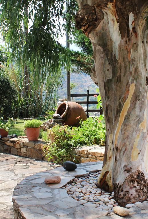 Ikaria Utopia - Cusco Evdilos (Ikaria)
