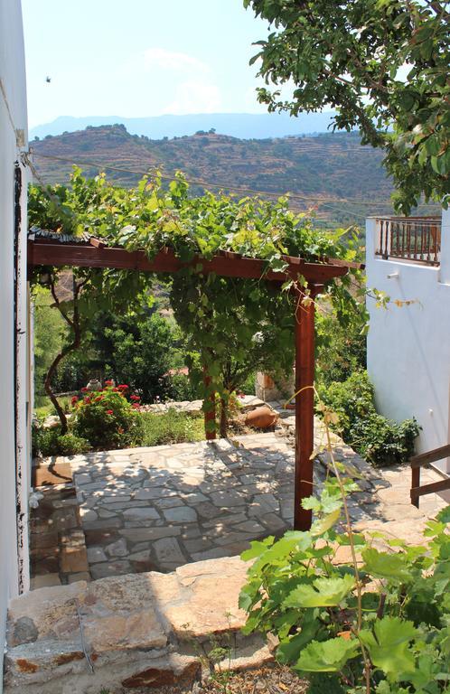 Ikaria Utopia - Cusco Evdilos (Ikaria)