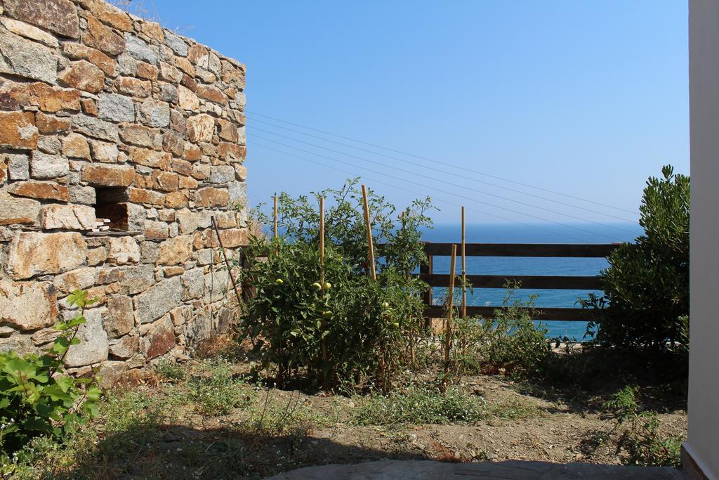 Aparthotel Ikaria Utopia - Cusco Evdilos (Ikaria)