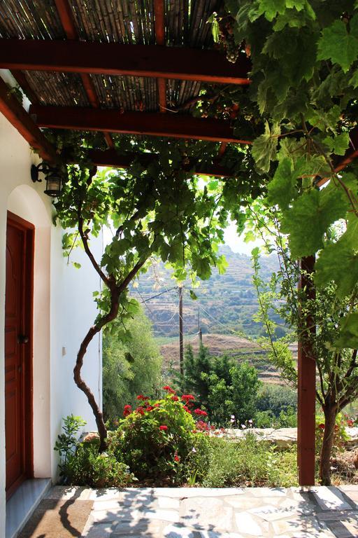 Ikaria Utopia - Cusco Evdilos (Ikaria)