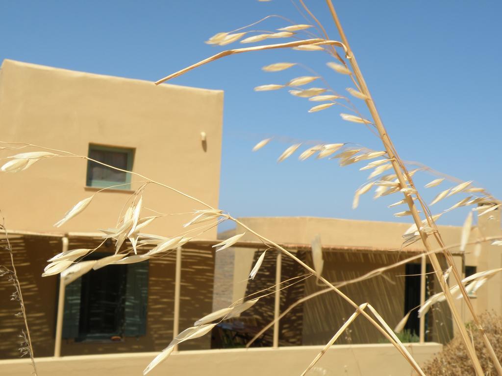 Spitakia Vourkari