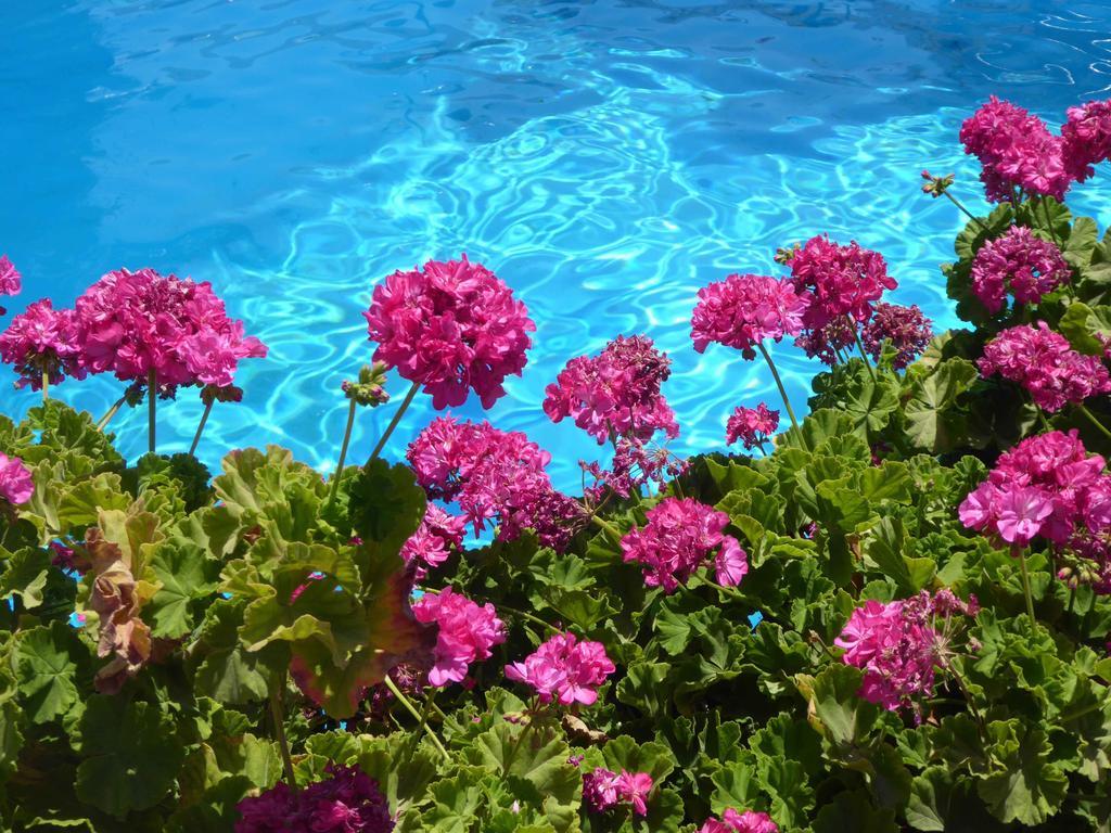 Romantica Aparthotel Georgioupoli