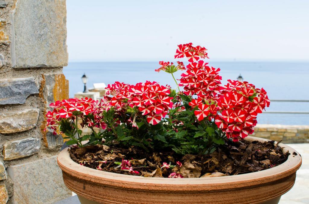 Apartment Guesthouse Enastron Chorefton