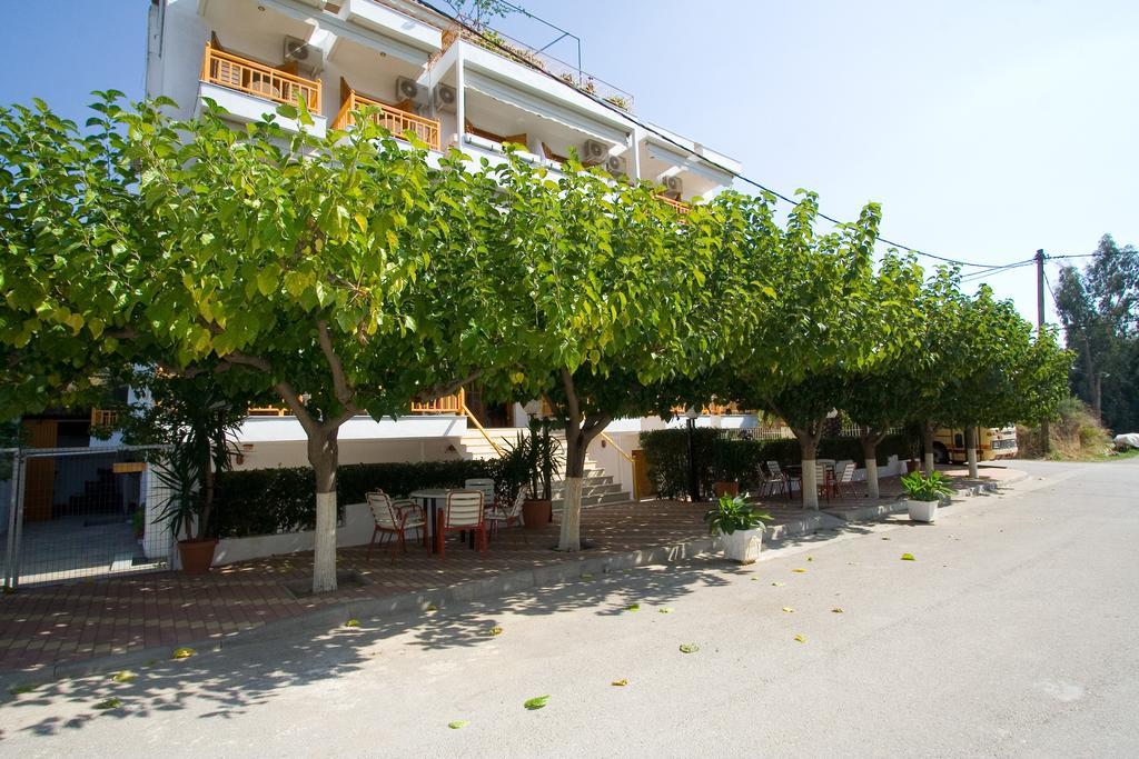 Aidipsos 2*