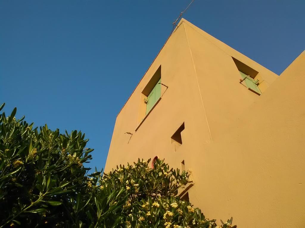Spitakia * Vourkari