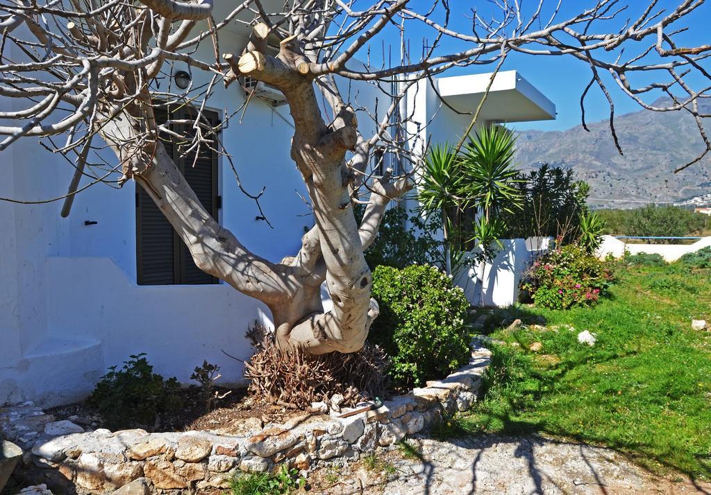 Guest house Orthi Ammos *