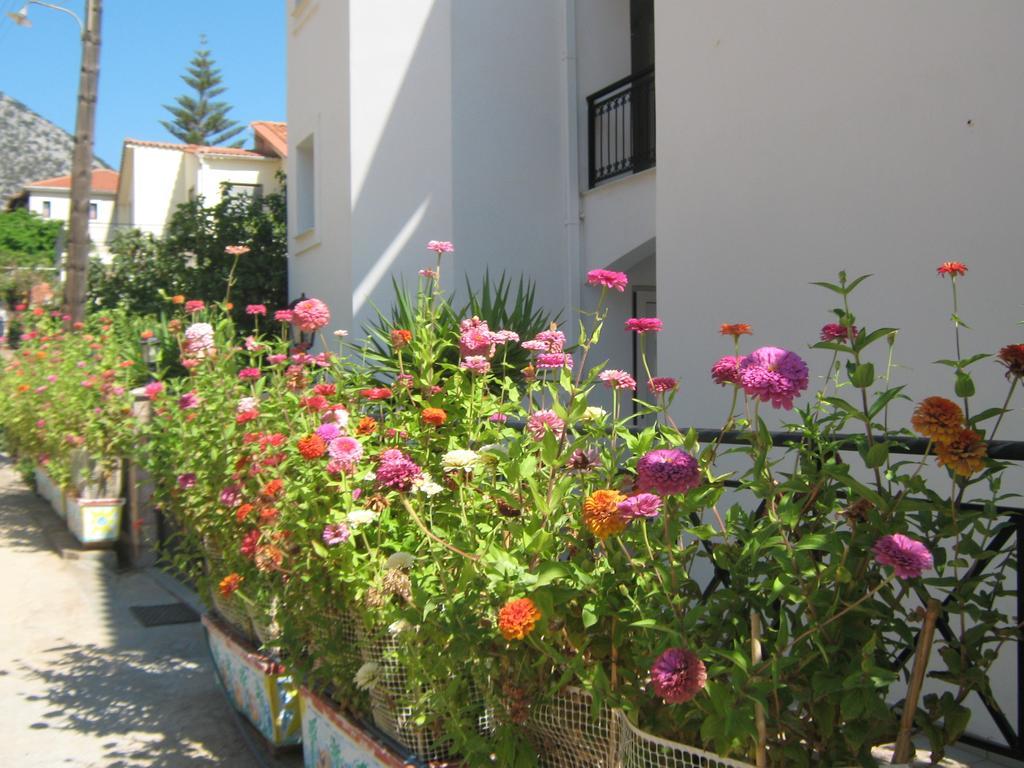 Friderica House