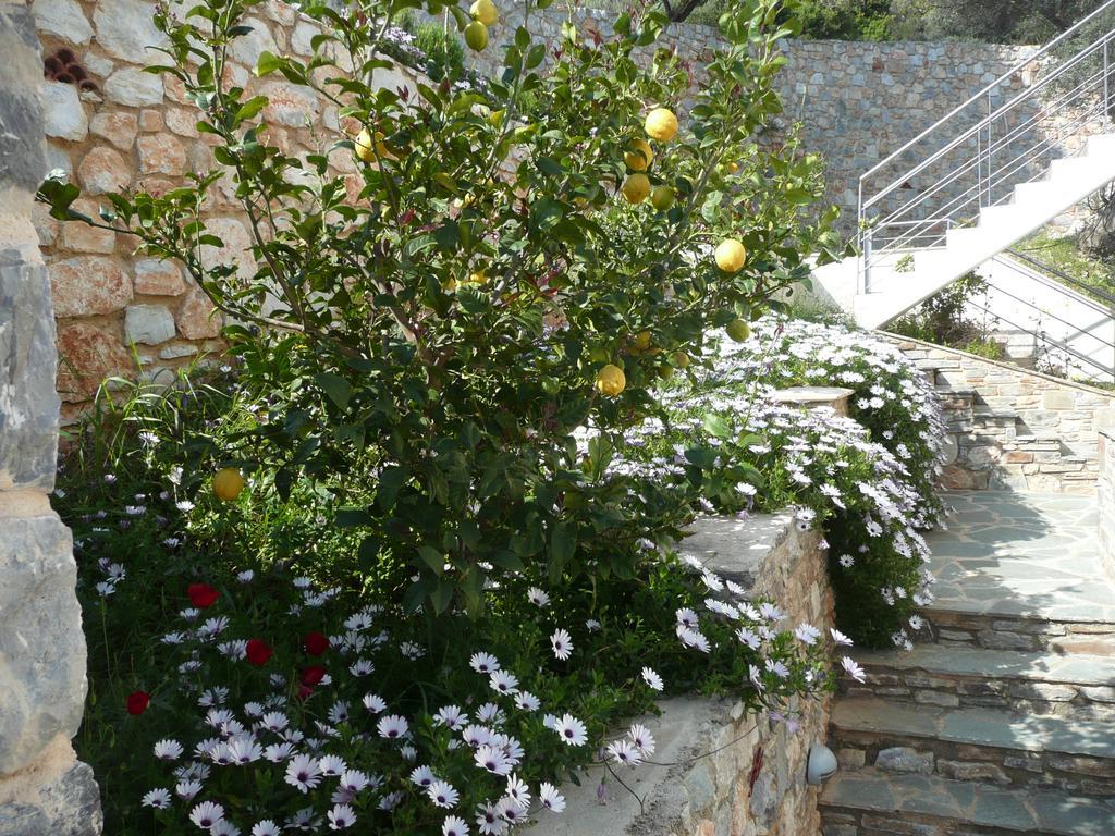 Labetia Agioi Apostoloi (Evia)
