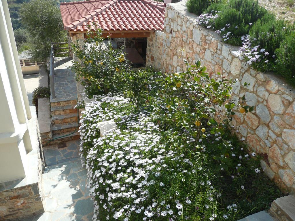 Apartment Labetia *