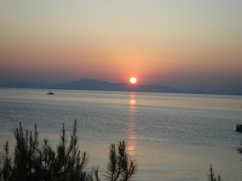 Stelios Seaside House *