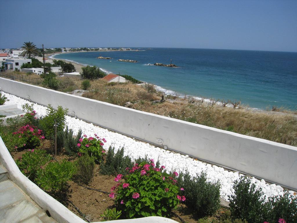 Antigoni Studios *