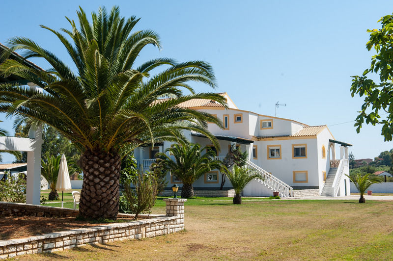 Corfu Sea Palm * Roda (Corfu)