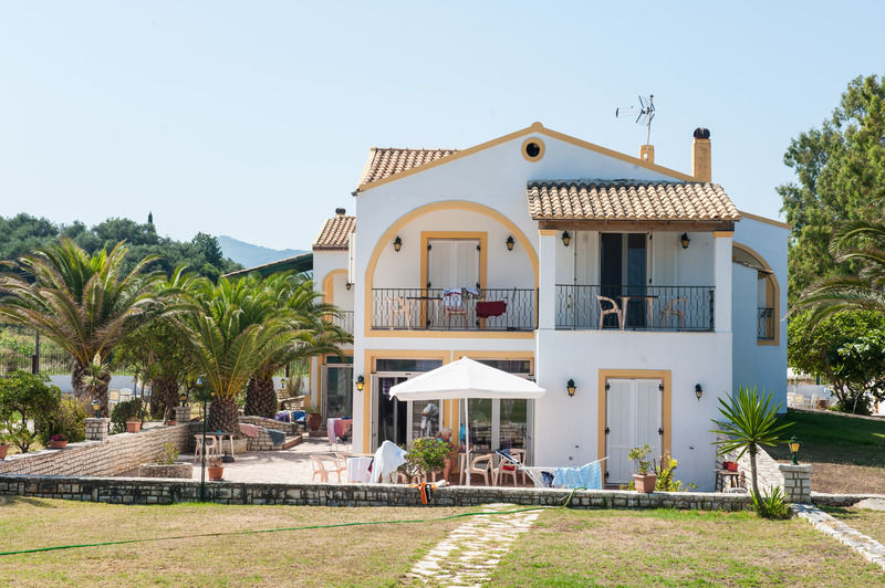 Corfu Sea Palm Roda (Corfu)