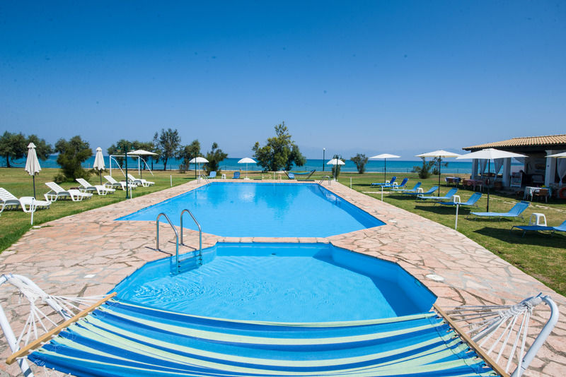 Corfu Sea Palm