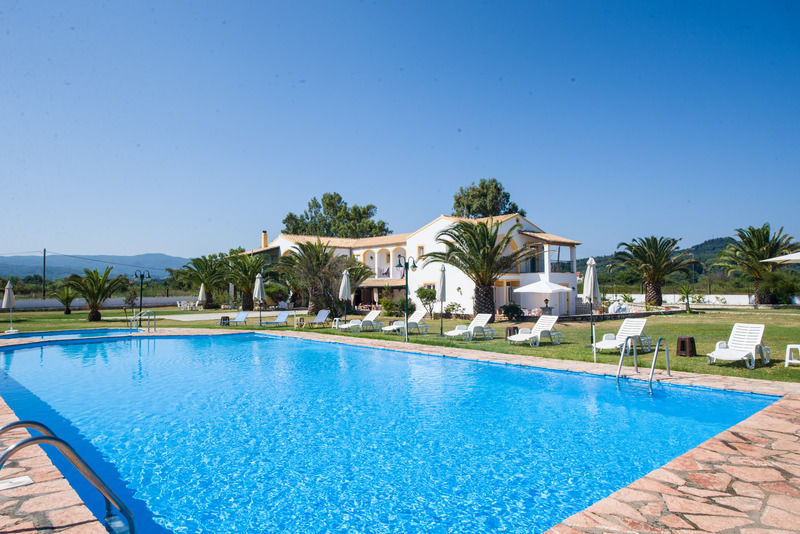 Corfu Sea Palm