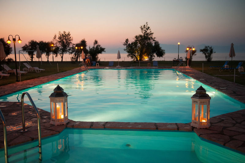 Corfu Sea Palm *
