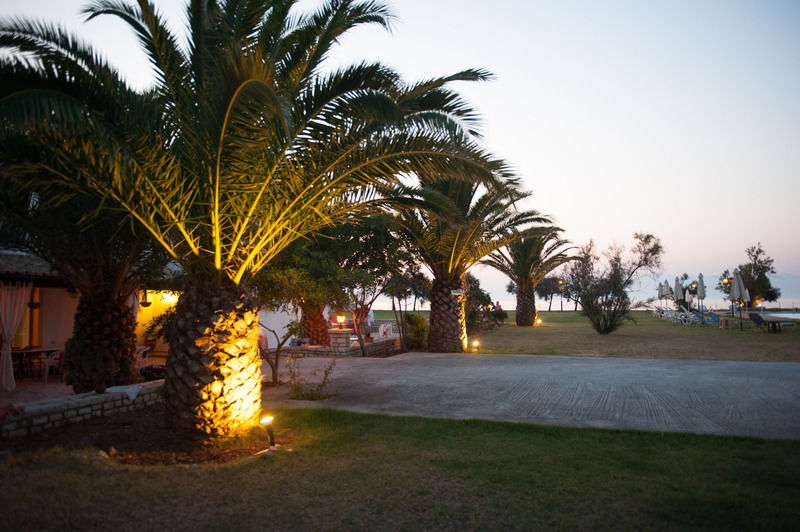 Corfu Sea Palm Roda (Corfu)