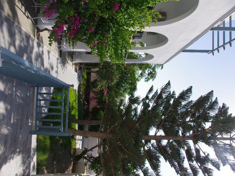 Hotel Iris Boutique 3*